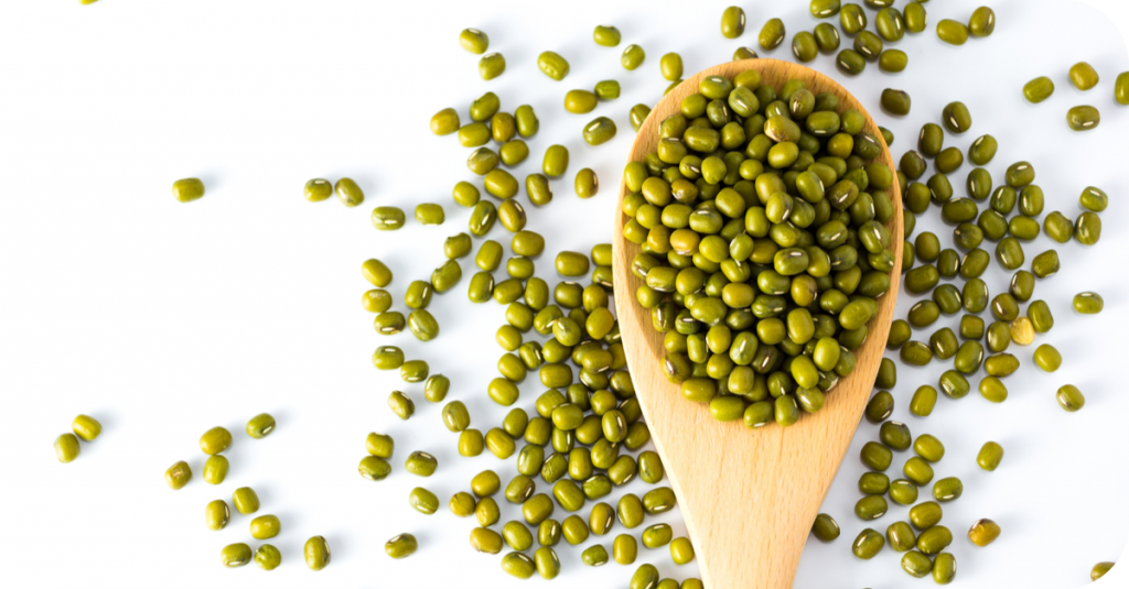 Mung Bean Protein NURA