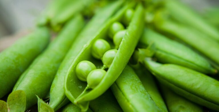 BESTEIN® - The responsible choice for your health and the environment